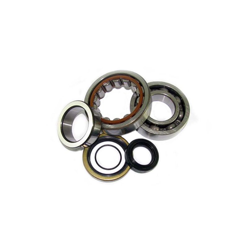 KIT CUSCINETTI ALBERO MOTORE ALL BALLS 24-1006 KAWASAKI KX 100 95/96