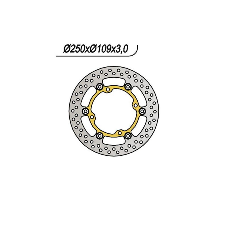 DISCO FRENO ANT. NG 1031 KAWASAKI KXE F (Italia) 250 06/07