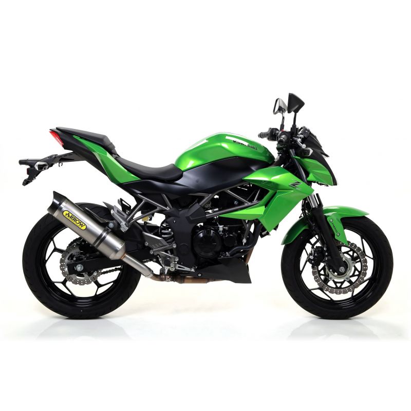 Terminale Race-Tech Approved alluminio Dark" con fondello carby" Kawasaki Z 250 SL 2015-2016  cc