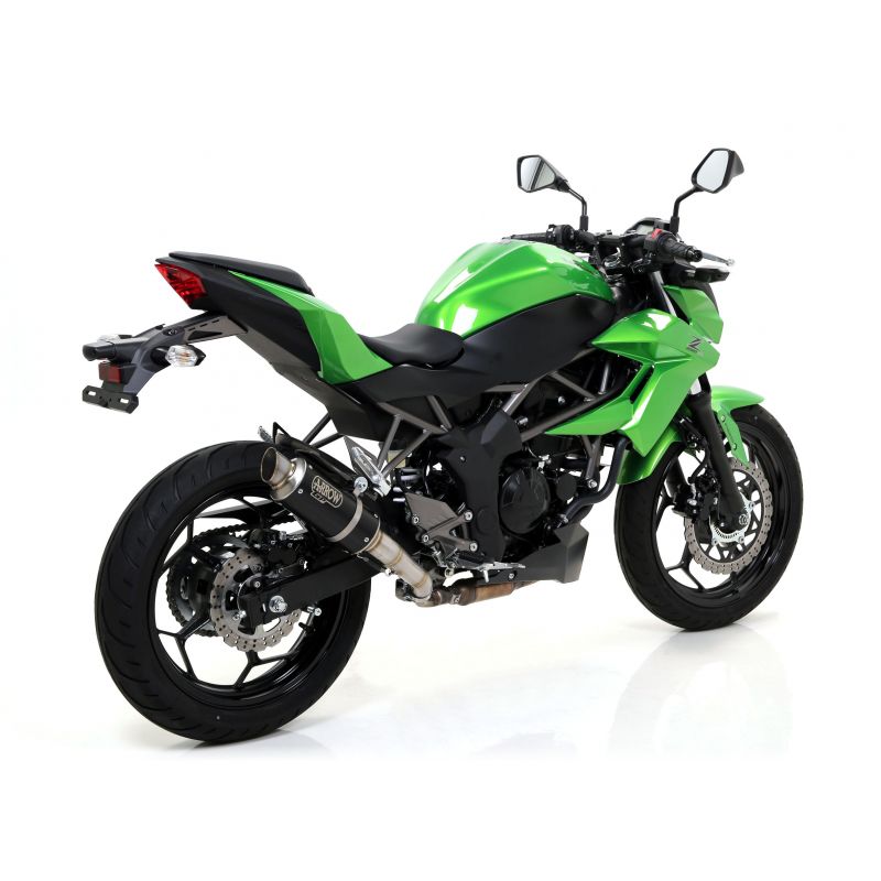 Terminale Race-Tech Approved alluminio Dark" con fondello carby" Kawasaki Z 250 SL 2015-2016  cc