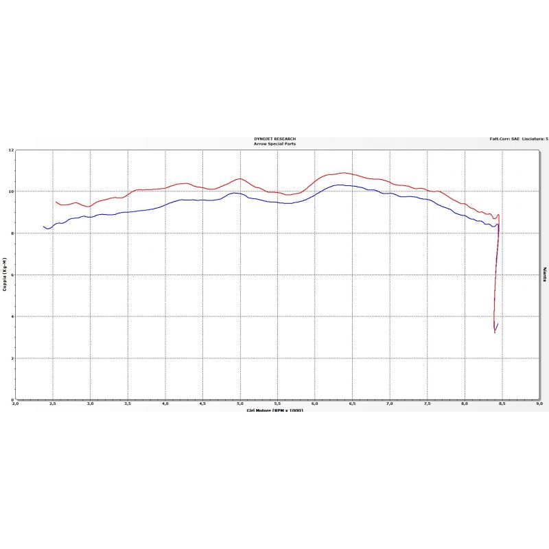 Terminale Pro-Race titanio BMW R Nine T 2014-2019 1200 cc