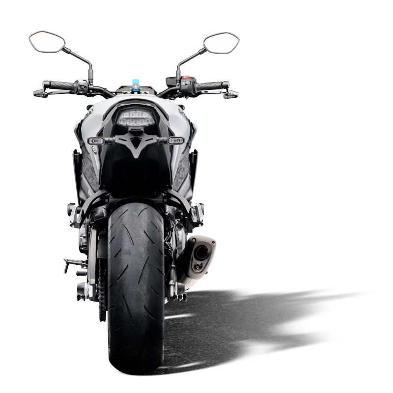Suzuki GSX-S1000 2022+ Porta Targa