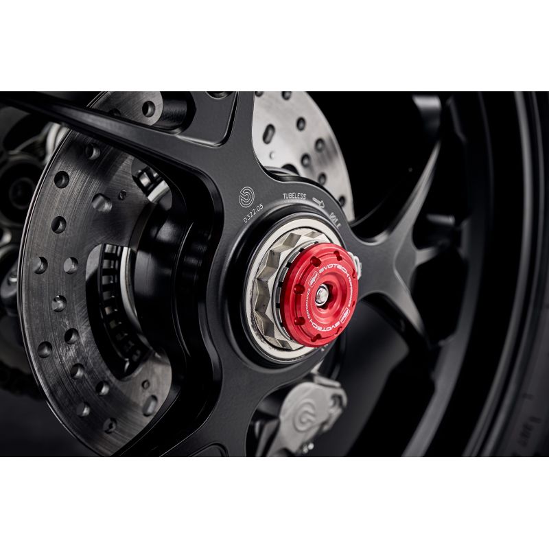 Ducati Streetfighter V4 S 2022+ Protezioni Forcellone posteriore