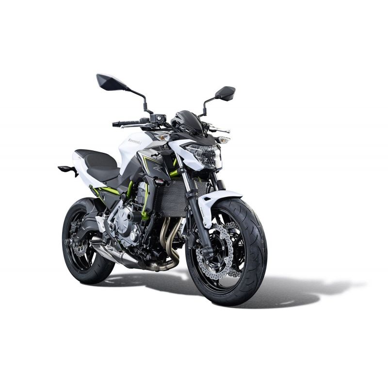 Kawasaki Z650 Performance 2021+ Griglia Radiatore