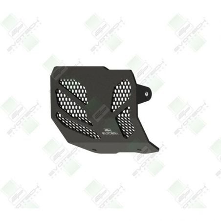 Ducati Monster 950 + (Plus) 2021+ Protezione Motore