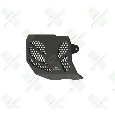 Ducati Monster 950 + (Plus) 2021+ Protezione Motore