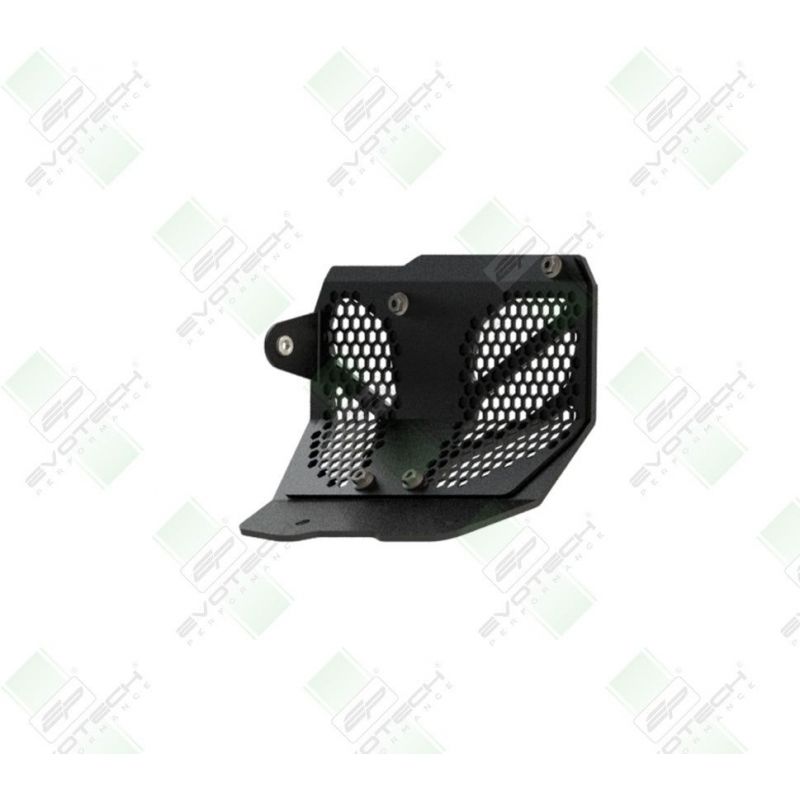 Ducati Monster 950 + (Plus) 2021+ Protezione Motore