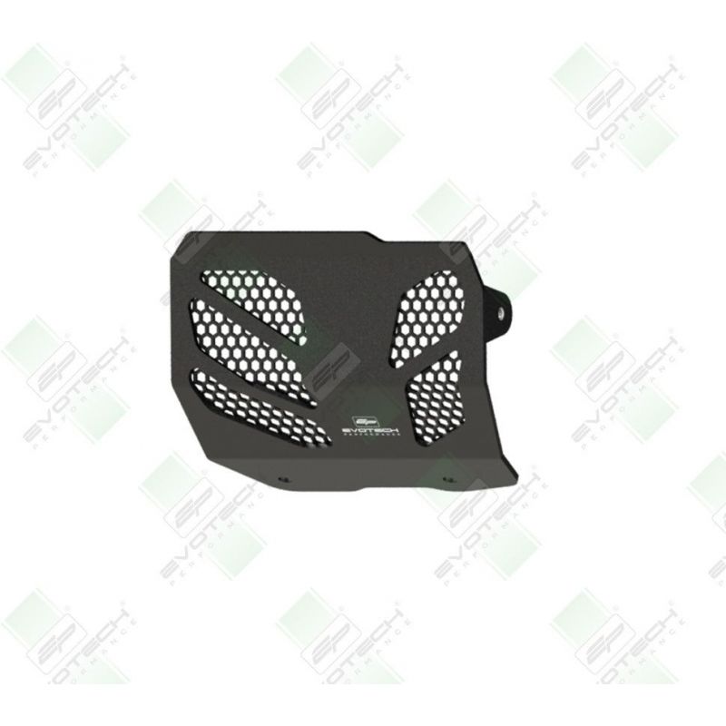 Ducati Monster 950 + (Plus) 2021+ Protezione Motore