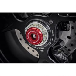Ducati Streetfighter V4 S 2020+ Kit protezioni Forcelle anteriori e posteriori