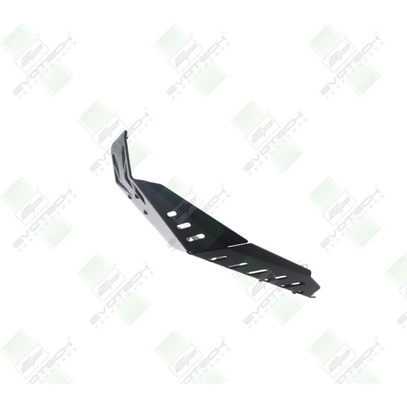 Ducati Monster 950 + (Plus) 2021+ Protezione Motore