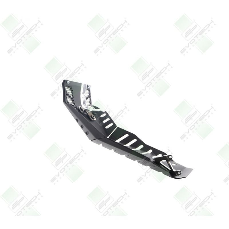 Ducati Monster 950 + (Plus) 2021+ Protezione Motore