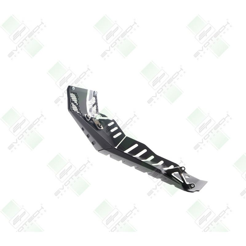 Ducati Monster 950 + (Plus) 2021+ Protezione Motore