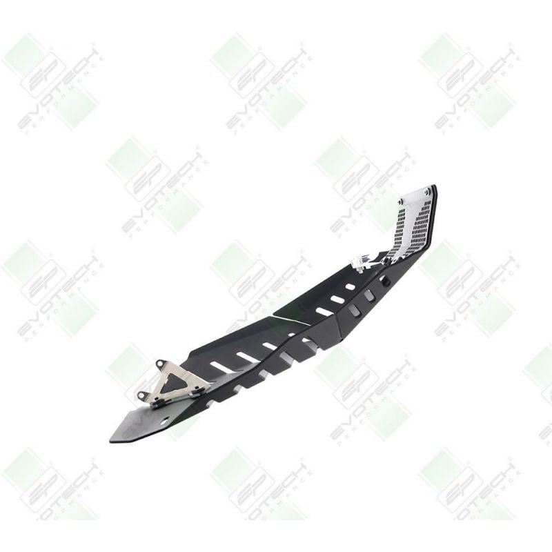 Ducati Monster 950 + (Plus) 2021+ Protezione Motore