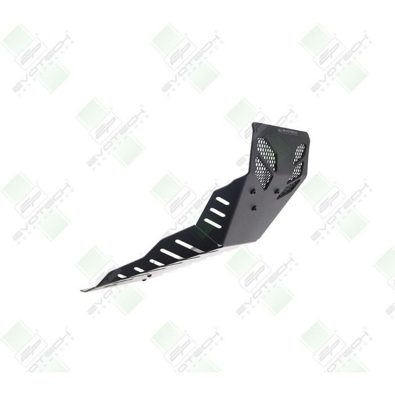 Ducati Monster 950 + (Plus) 2021+ Protezione Motore