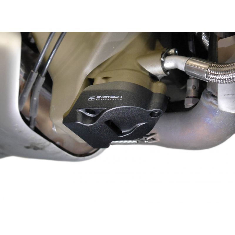 Ducati Streetfighter V4 2020+ Protezione Motore