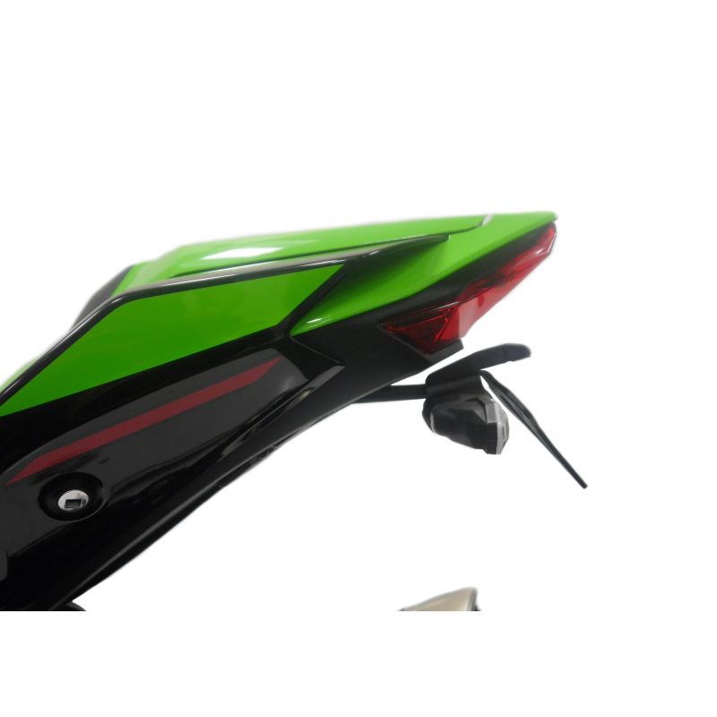 Kawasaki Ninja ZX-10R 2021+ Porta Targa
